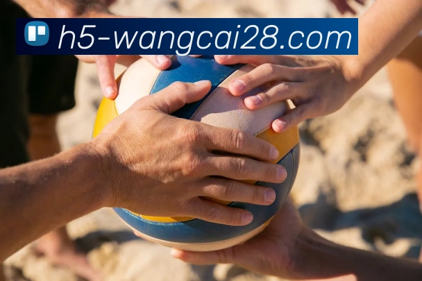 旺财28品牌故事