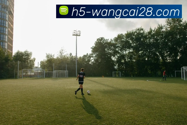 旺财28服务体系