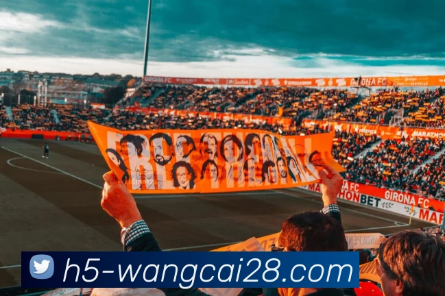 多媒体互动体验